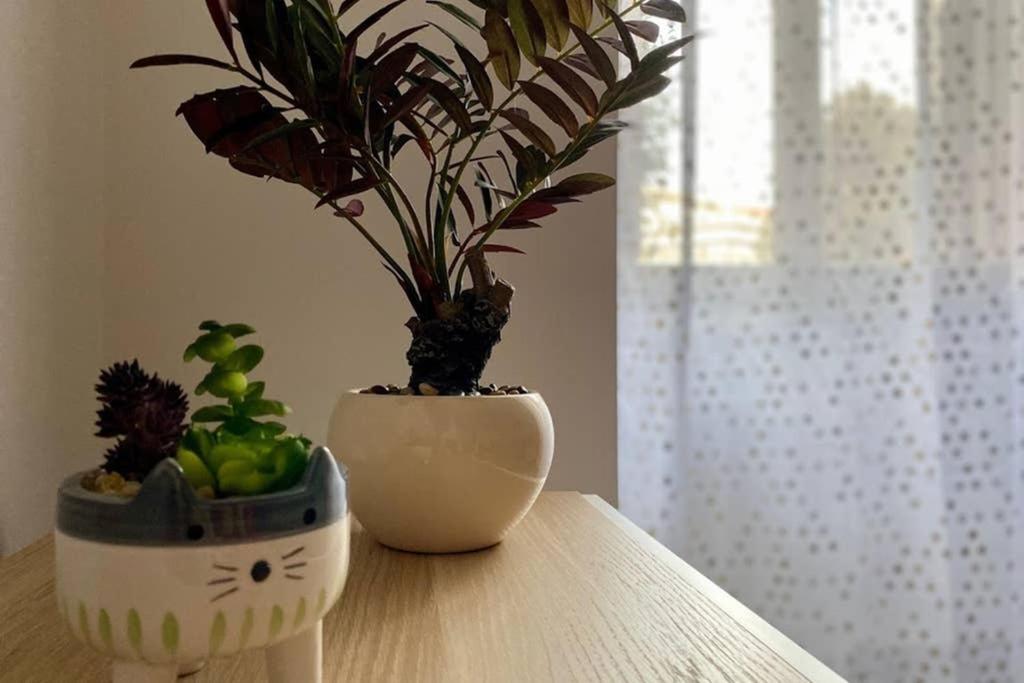 Central Modern Apartment Rome -Locazione Turistica- Екстер'єр фото